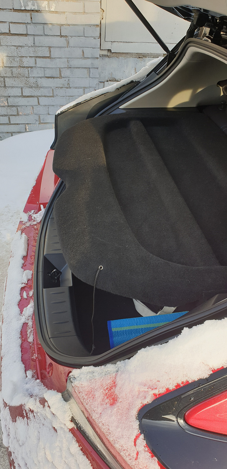 Полка багажника в Nissan Leaf 2 (ZE1)